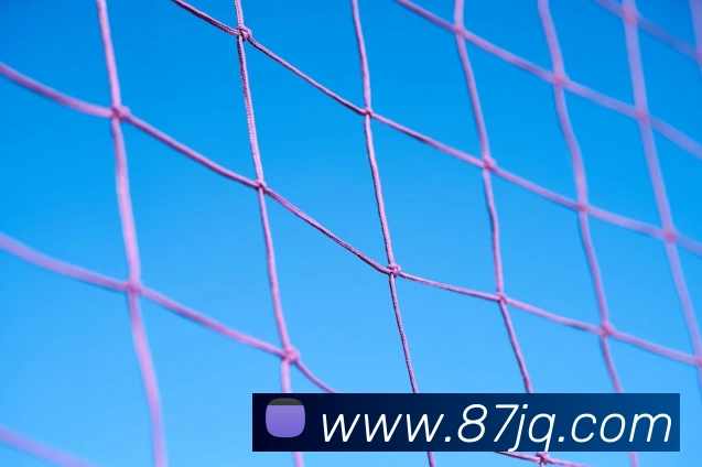 开云手机在线登录官网平台生态图