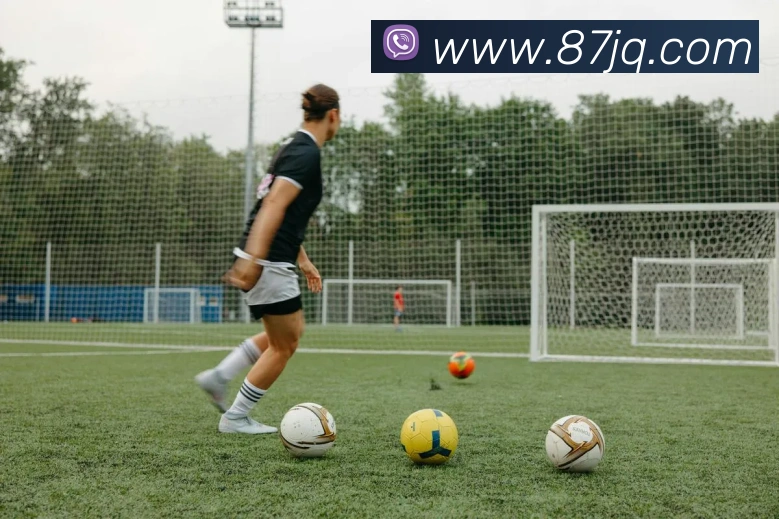 开云手机在线登录官网全站App